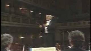 Beethoven 9ª Sinfonía  Bernstein 1989 34  Subtitulando [upl. by Bittner]