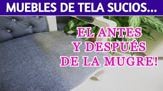 MUEBLES DE TELA Y COLCHONES RECUPERÁLOS CON ÉSTA SUPER TECNICA  TU CASA CÓMO TACITA DE PLATA [upl. by Buiron341]