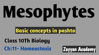 Osmoregulation in Plants Mesophytes Class 10th Biology pashto lecture [upl. by Garrek]