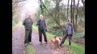 CHASSE A LA BECASSE  CENTRE BRETAGNE Décembre 2015 [upl. by Etnauj]