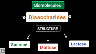 What are Disaccharides structure of sucrose maltose lactose  Biomolecules  simplified [upl. by Gwyn]