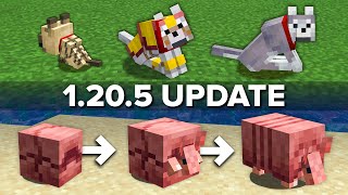 Minecraft 1205 Update Explained in 5 Minutes [upl. by Ruthven]