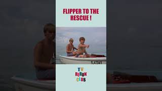 Flipper saves Ranger Rick after an explosion 😱 Flipper shorts [upl. by Parrish]