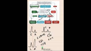 LV diastolic dysfunction algorithm mnemonic part 2 patients with depressed LVEF or suspected dx dysf [upl. by Nnaarual929]