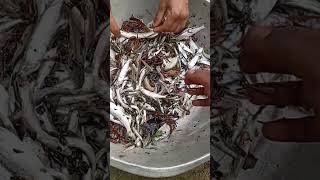 fishing seafood rabbitfish satisfying fish rabbitmeat [upl. by Puett]