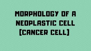 Morphology of Neoplastic Cell Cancer cell  Pathology  Second Year Med School [upl. by Sebastiano]