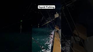 Puget Sound Squid Fishing Battle Fishing [upl. by Kynan]