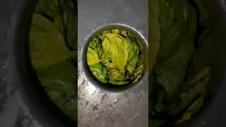 Pesto di Basilico  Come sporcare casa in soli 60 secondi perte food [upl. by Krucik]