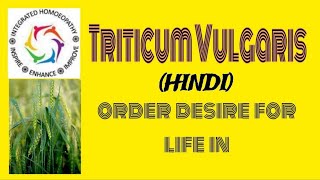 Triticum Vulgaris in HINDI by INTEGRATED HOMOEOPATHY [upl. by Seiuqram]