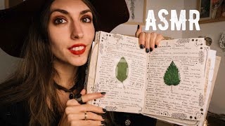 ASMR 🔮My Book of Shadows Flip Through🔮Whisper [upl. by Fransen856]