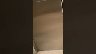 Schindler elevator at Westfield Carindale QLD Australia Lift No5 [upl. by Llib]