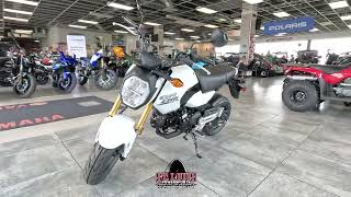 2025 Honda GROM Base [upl. by Dayle404]