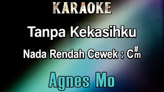 Tanpa Kekasihku Karaoke Agnes Mo  Nada Rendah Cewek Cm Agnes Monica [upl. by Jacob]