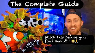 How to Care for a Clownfish Everything You NEED to Know 🐠 [upl. by Ranit866]