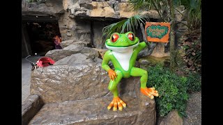 Rainforest Cafe Secret Entrance Walkthrough at Animal Kingdom  Walt Disney World 2023  4K [upl. by Draper]