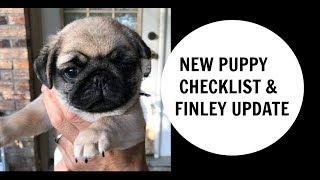 NEW Puppy checklist and Finley the Pug update [upl. by Astraea103]