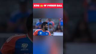 जसप्रीत बुमराह की yorker bowling  cricket viral trending shorts shortsfeed [upl. by Breen]