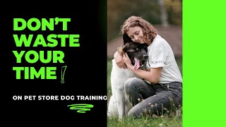 Dog Obedience Training Class  Basic Obedience Training [upl. by Mikes]