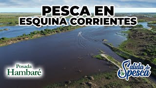 PESCA en ESQUINA CORRIENTES Posada Hambaré nos hace vivir una experiencia única de pesca [upl. by Elahcar]