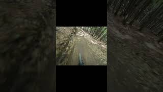 trefil jsem řidítkama strom za letu😱 djiosmoaction4 mtb canyonbikes mountainbike mtblife [upl. by Alyad]