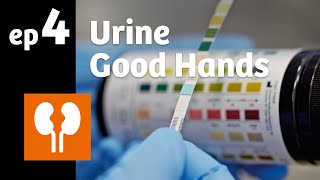 Ep 4 Urine it’s like a clinical compass [upl. by Aneehsat450]