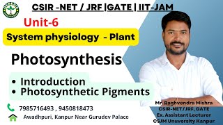 Photosynthesis  Chlorophylls Carotenoids and Phycobilins  Light harvesting complexes  L5 [upl. by Harmonia]