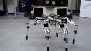 Hexapod Robot Lübeck [upl. by Rabjohn]