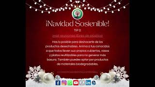 NAVIDAD SOSTENIBLE 2024 TIP 3 [upl. by Constantine577]