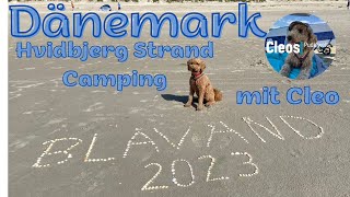 Dänemark  Camping Hvidbjerg Strand Ferienpark 2023 Teil 1 [upl. by Rokach]