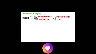 Cell Injury Pathology  Reversible and Irreversible Cell Injury  Part 1 mbbs doctor anatomy [upl. by Yntirb]