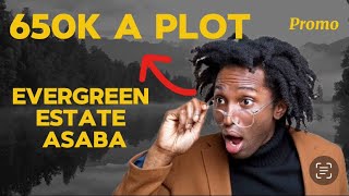 Why selling A Plot Inside Estate With Just 650k An Acre For 39M in Asaba Powered By Alpha Nobis [upl. by Yrkcaz]