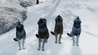 WolfQuest 3AE Multiplayer [upl. by Lynnette137]