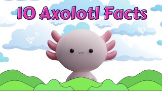 10 Axolotl Facts Learning about animals is FUN [upl. by Adnuhser733]