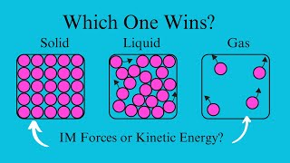 IM Forces vs TemperatureWhich One Wins [upl. by Ahron544]