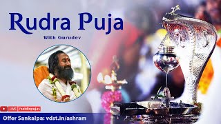 Mahalaya Amavashya spl Rudra Puja  02 Oct 2024  Live From VDS Bangalore Ashram [upl. by Ancilin]