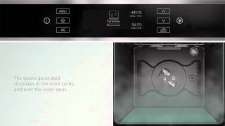 Bauknecht PureClean oven [upl. by Johannah]