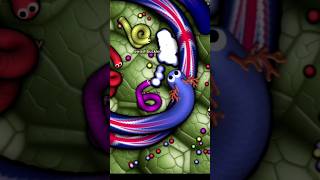 Slither Io biggest snake 👑😯😯shortvideo shortviral wormszone slitheriobattle [upl. by Ariana]