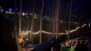 Gatlinburg TN Skybridge Anakeesta Mountain Coaster and so much more [upl. by Santiago682]