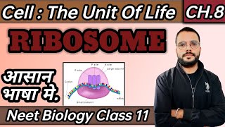 Ribosome  Cell  Cell  The Unit Of Life  CellBiology  Cell Biology Class 11 [upl. by Eceinwahs886]