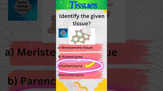 Collenchyma  Plant tissues  Tissues  Class 9 Science  shorts [upl. by Demb]