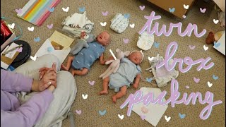 Custom Twin Reborn Babies Box Packing  Kelli Maple [upl. by Alleinad203]