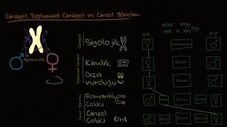 Toplumun Demografik Yapısı Cinsiyet Toplumsal Cinsiyet Cinsel Yönelim Sosyoloji [upl. by Semreh]