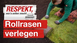 Rollrasen verlegen  toom Werkstatt [upl. by Milzie]