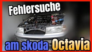 skoda octavia  Live Fehlersuche am Motor Ds Garage [upl. by Lozano]