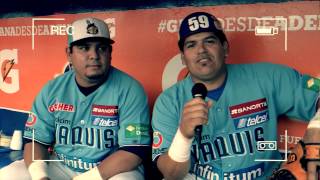 Promo serie Yaquis vs Mayos 67 y 8 diciembre [upl. by Leoni]