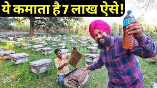 📞9772608722 मधुमक्खी पालन से लाखो कमाताHoney Bee Keeping Farming in indiaMadhumakhi Palan Hindi [upl. by Eserehs]