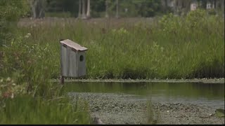 Bulloch family opens Kennedy Pond Conservancy aimed at saving green space in county [upl. by Arela]