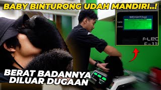 DILUAR DUGAAN UDAH 2 BULAN BABY BINTURONG BERATNYA UDAH MENCAPAI SEGINI [upl. by Airlee]