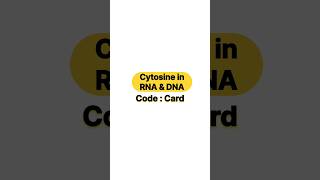 Cytosine in RNA amp DNA [upl. by Falo]