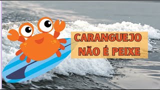 CARANGUEJO NÃO É PEIXE [upl. by Binny]